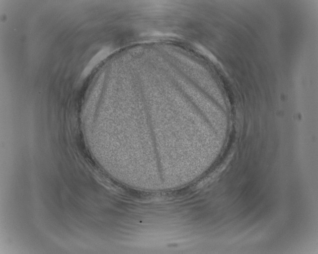 X0000071781259200607282229