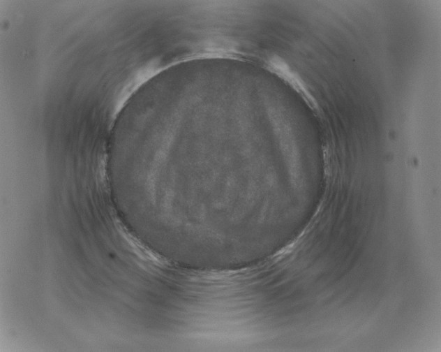 X0000071781260200607282229