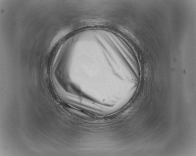 X0000071781261200607282229