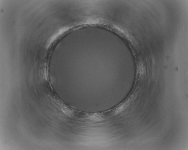 X0000071781262200607282229