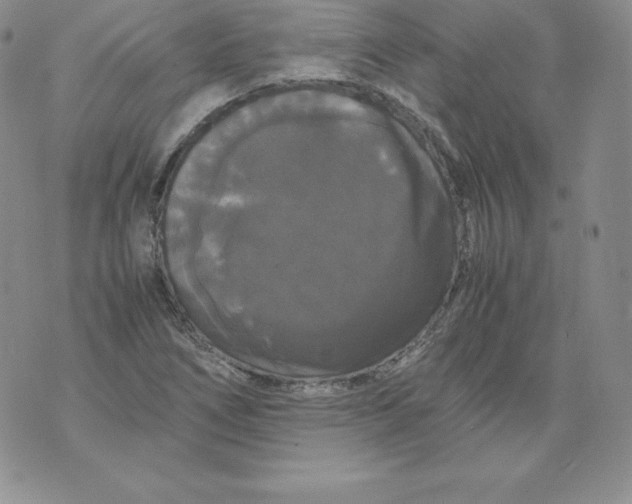 X0000071781266200607282229