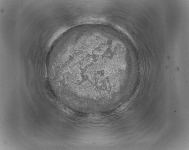 X0000071781267200607282229