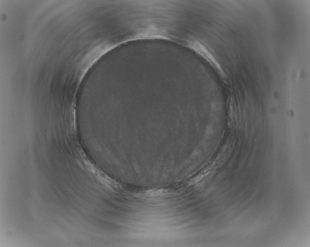 X0000071781268200607282229