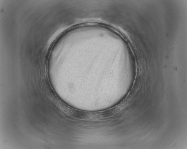 X0000071781271200607282229