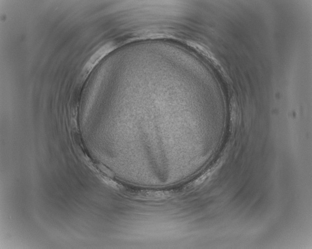 X0000071781273200607282229