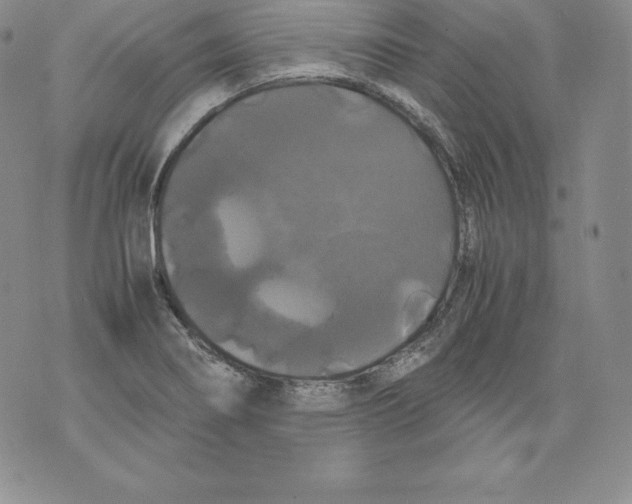 X0000071781274200607282229