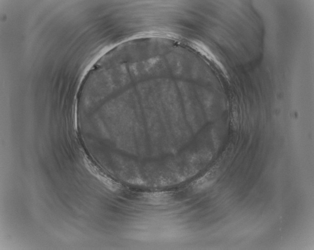 X0000071781276200607282229