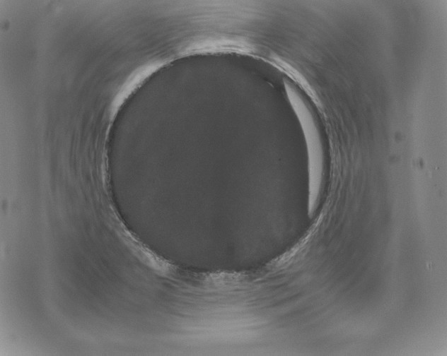 X0000071781277200607282229