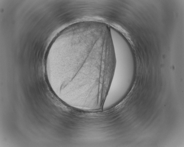 X0000071781280200607282229