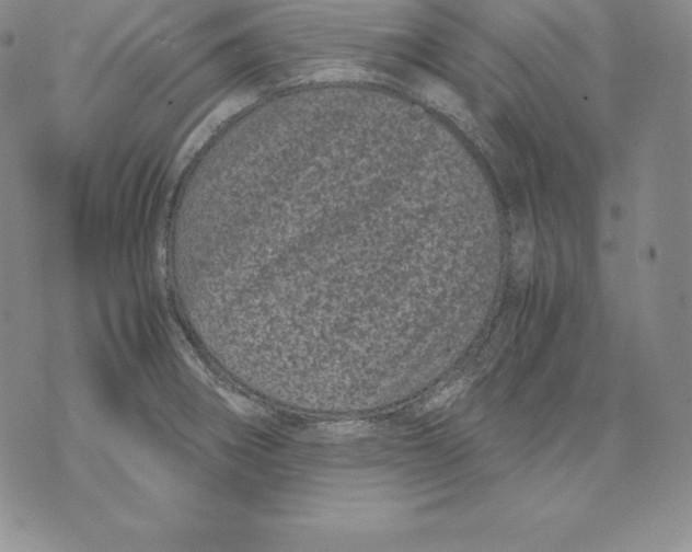 X0000071781282200607282229