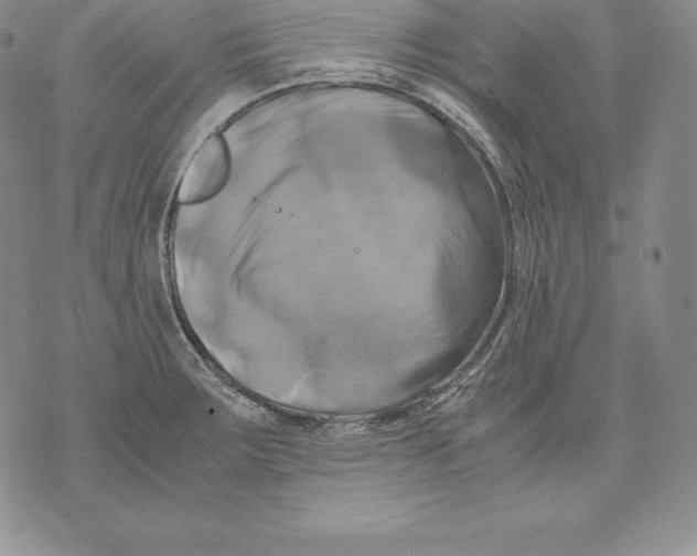 X0000071781283200607282229