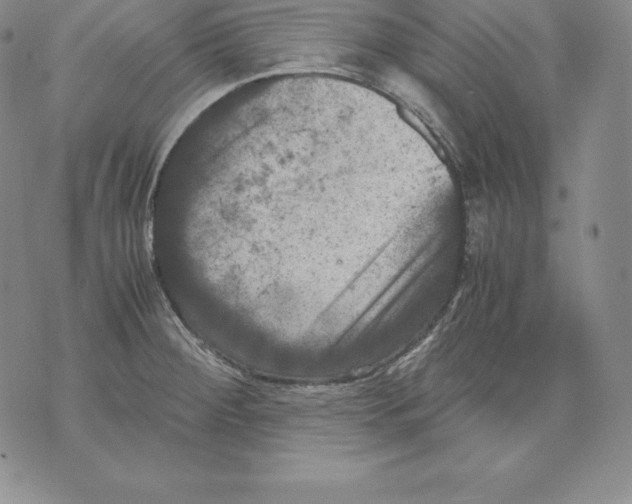 X0000071781284200607282229