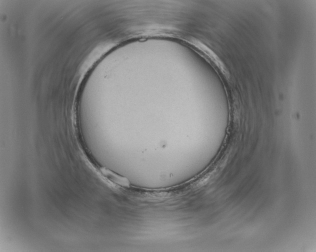 X0000071781285200607282229