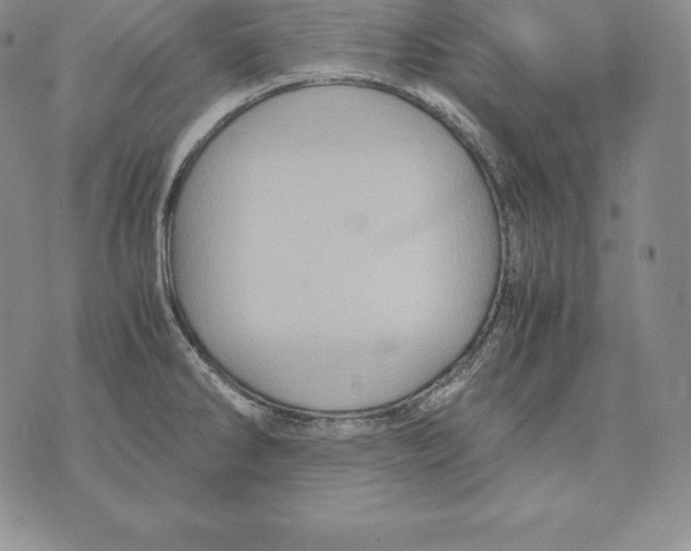 X0000071781286200607282229