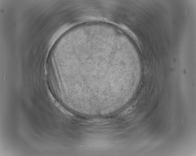 X0000071781287200607282229