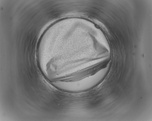 X0000071781288200607282229