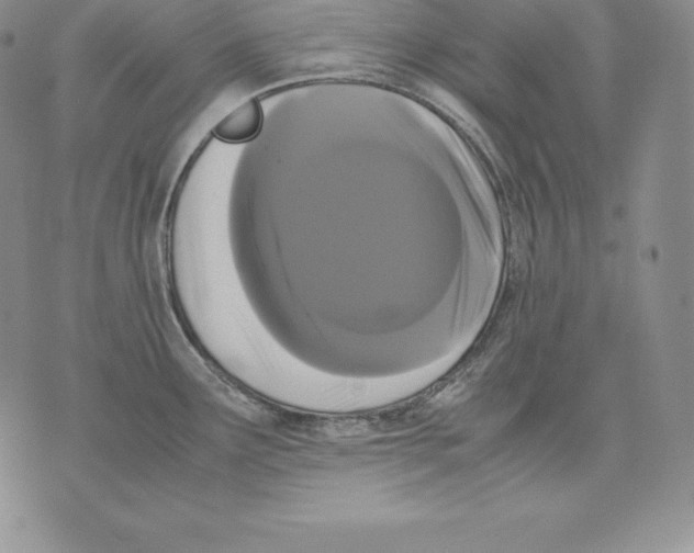 X0000071781291200607282229