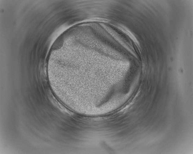 X0000071781292200607282229