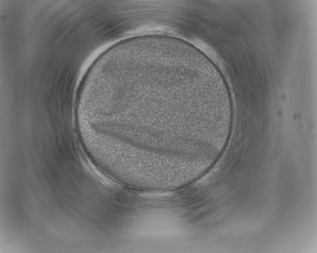 X0000071781296200607282229