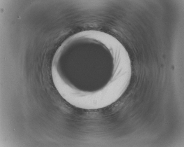 X0000071781297200607282228