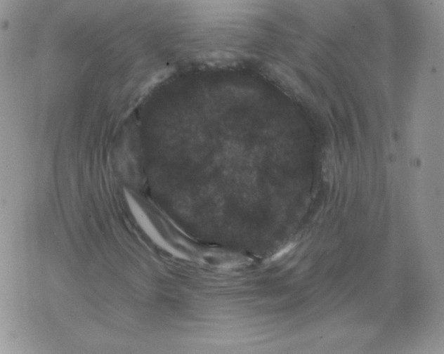 X0000071781298200607282228