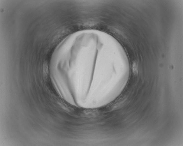 X0000071781299200607282228