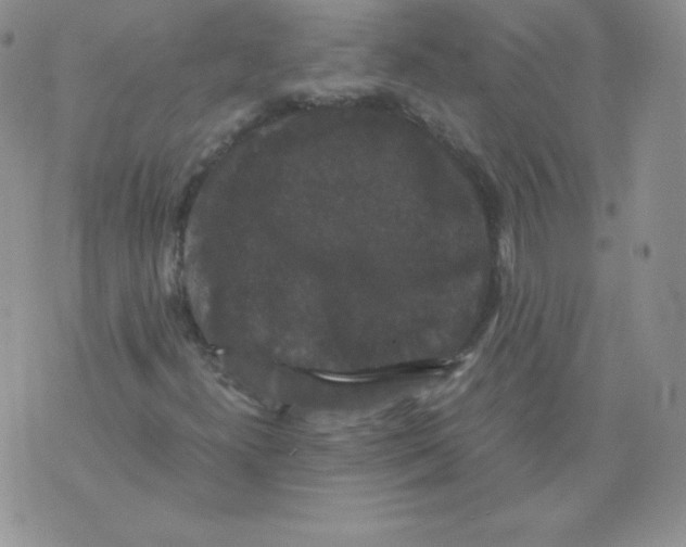 X0000071781300200607282228