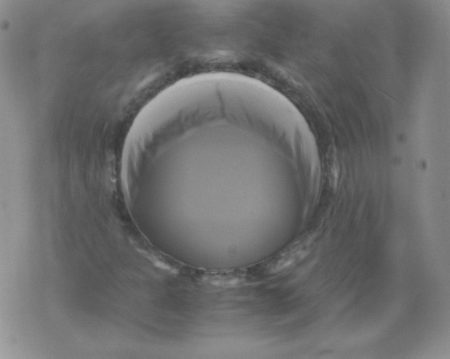 X0000071781301200607282228