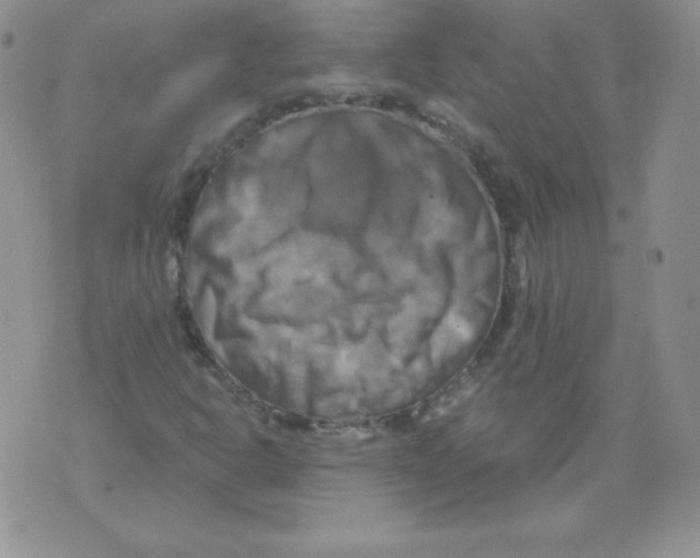 X0000071781302200607282228