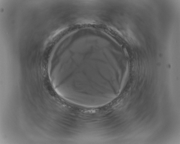 X0000071781303200607282228