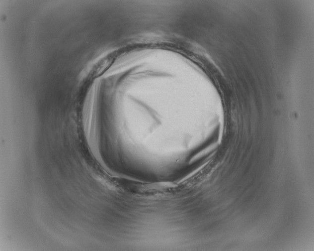 X0000071781304200607282228