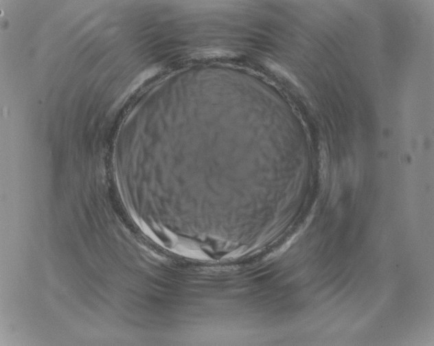 X0000071781305200607282228