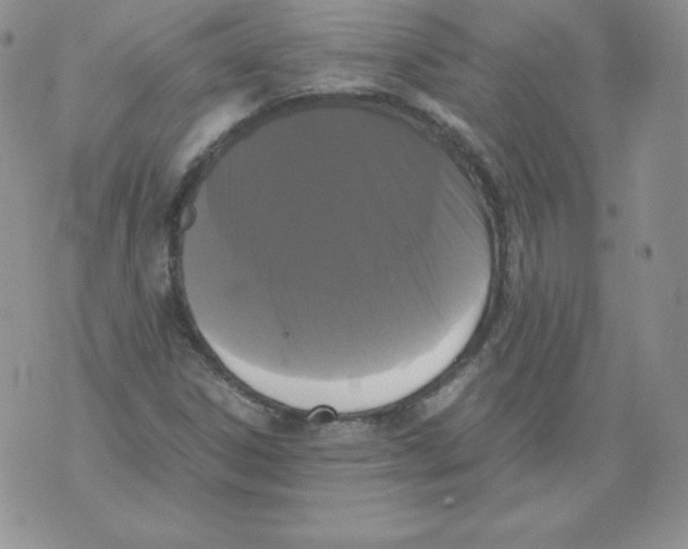 X0000071781306200607282228