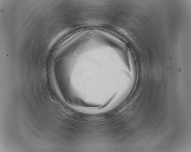 X0000071781307200607282228