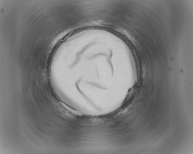 X0000071781308200607282228