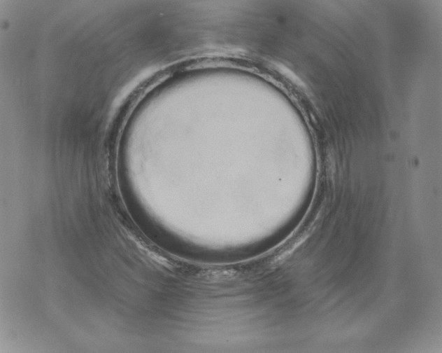 X0000071781310200607282228