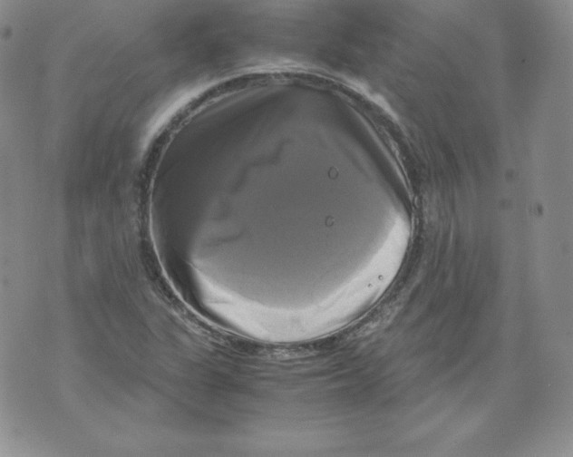 X0000071781311200607282228