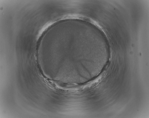 X0000071781312200607282228