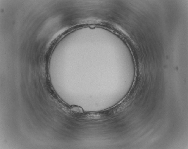 X0000071781315200607282228