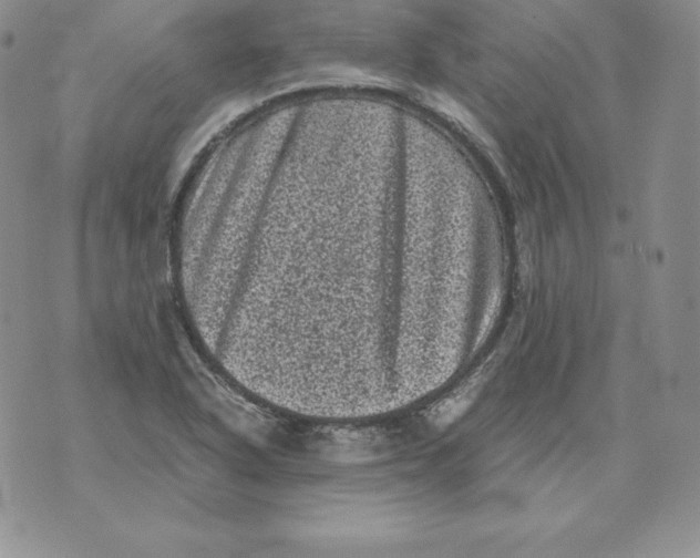 X0000071781318200607282228