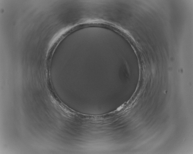 X0000071781319200607282228