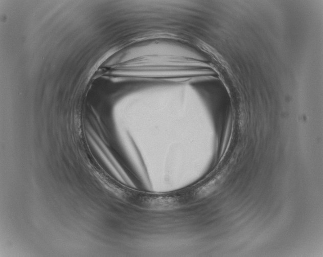 X0000071781321200607282228