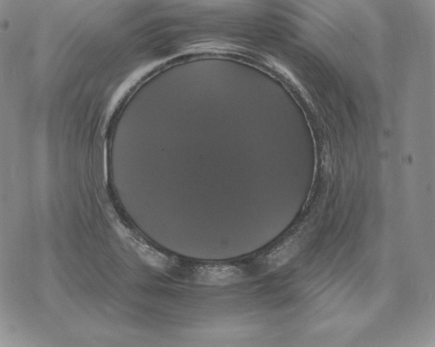 X0000071781323200607282228