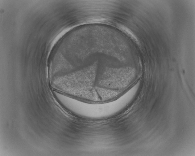 X0000071781324200607282228