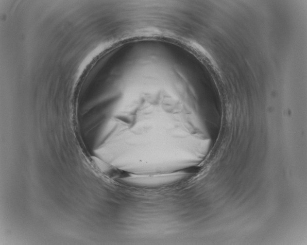 X0000071781326200607282228