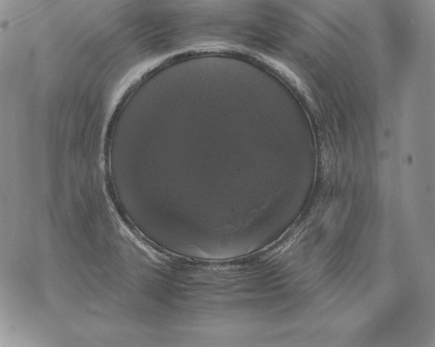 X0000071781327200607282228