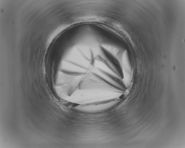 X0000071781328200607282228