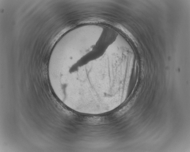 X0000071781329200607282228