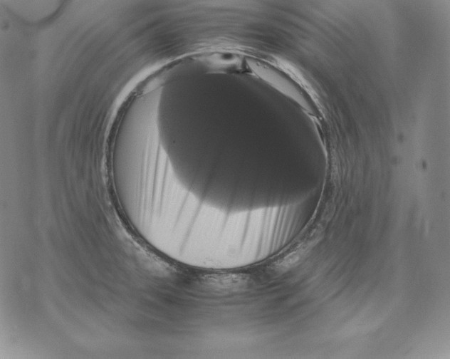 X0000071781331200607282228