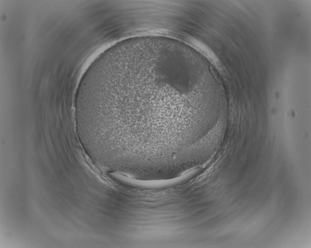 X0000071781332200607282228